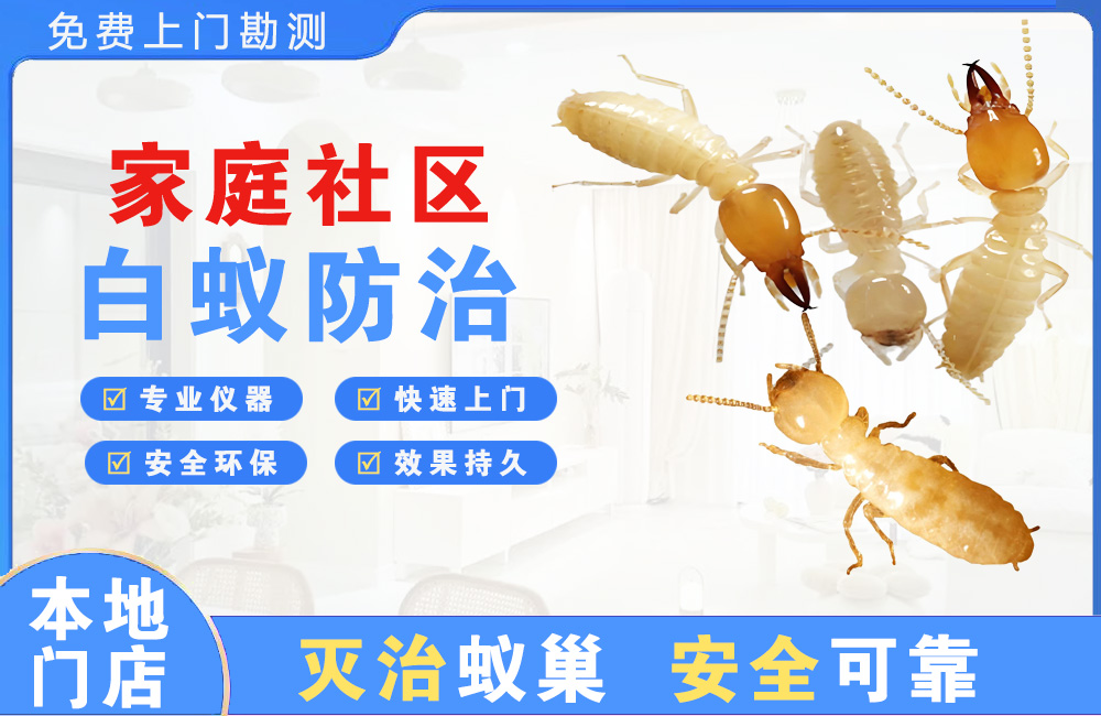 桐乡家庭社区白蚁防治