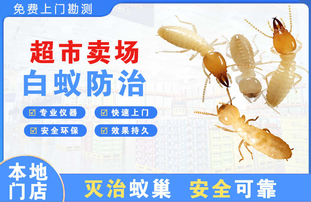 桐乡超市卖场白蚁防治