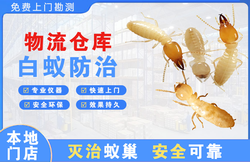 桐乡物流仓库白蚁防治
