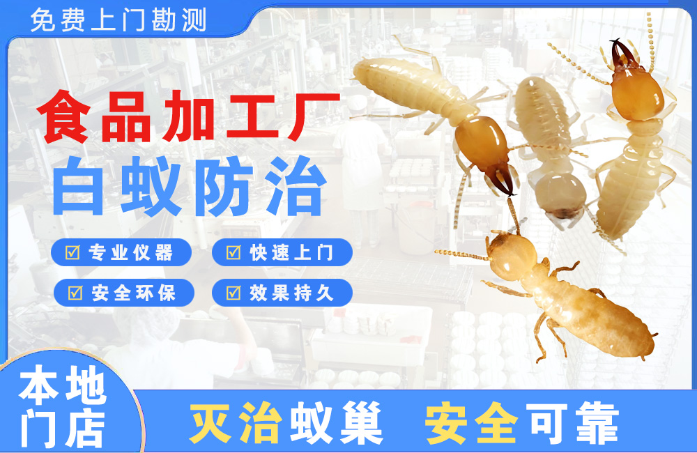 桐乡食品加工厂白蚁防治