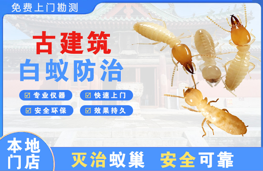 桐乡古建筑白蚁防治