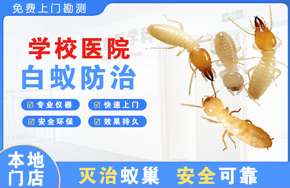 桐乡学校医院白蚁防治