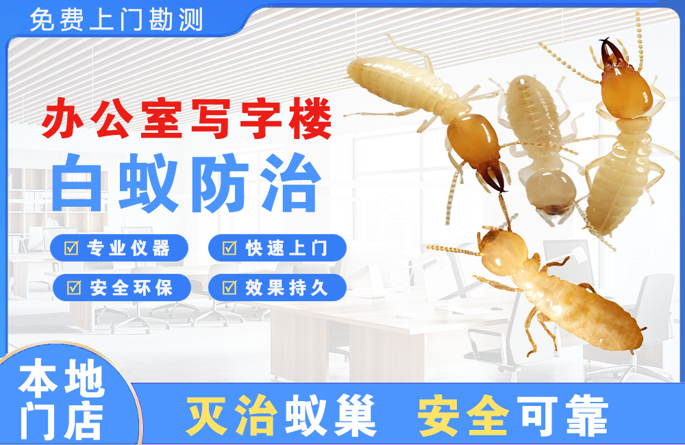 桐乡办公室写字楼白蚁防治