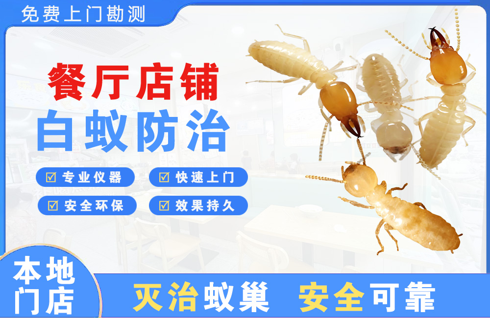 桐乡餐厅店铺白蚁防治